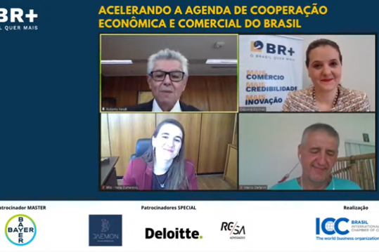175-Em evento da ICC Brasil, Secretário Fendt diz que inserção internacional trará crescimento sustentável do país