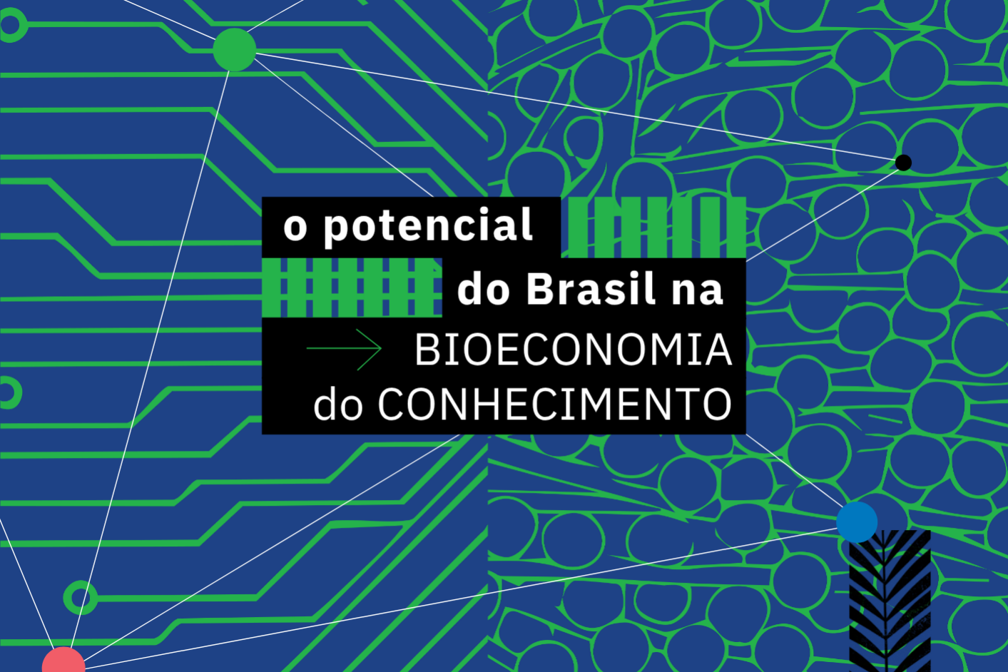 Preview_PNG_ICC_Bioeconomia-do-Conhecimento_25