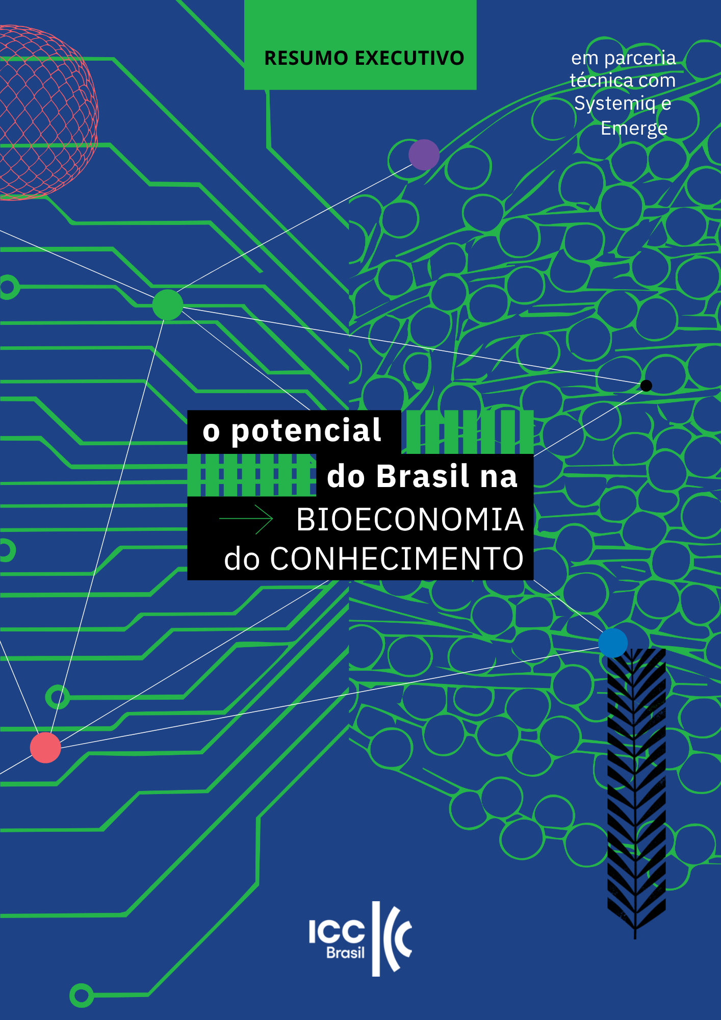 Preview_PNG_ICC_Bioeconomia-do-Conhecimento_25