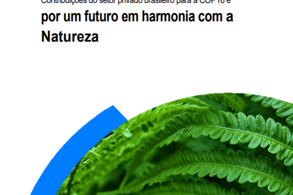 capa – Contribuições do setor privado brasileiro para a COP16 e por um futuro em harmonia com a Natureza